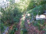 Col - Križna gora above Col